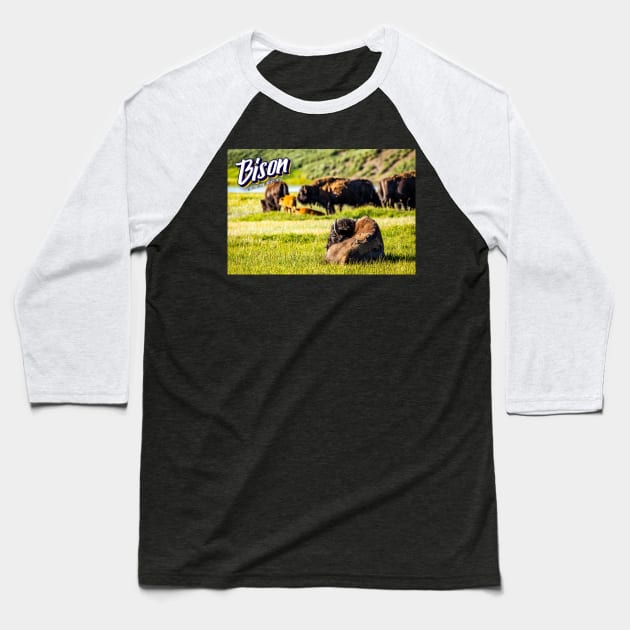 Bison at Yellowstone Baseball T-Shirt by Gestalt Imagery